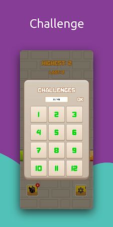 Game screenshot Dunk Challenge apk download