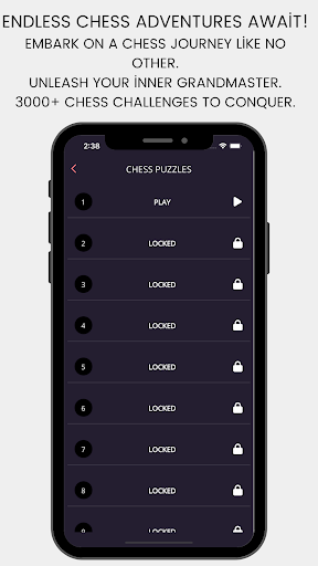 Chess Mate Puzzle Screen 3