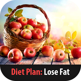 Diet Plan Weight lose 2 Weeks apk