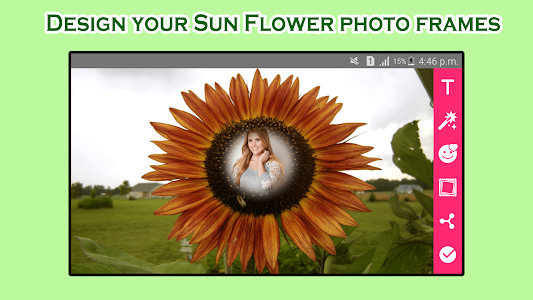 Sunflower Photo Frames Unknown