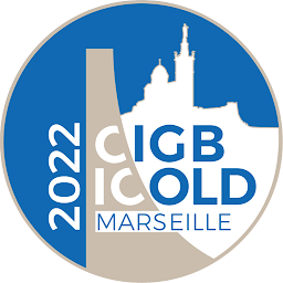 Icon image ICOLD-CIGB  2022