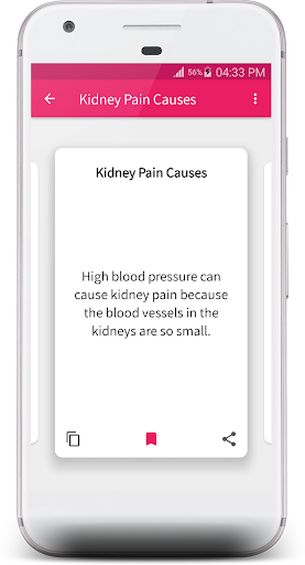 Kidney Pain Symptoms and Treat Screen 3