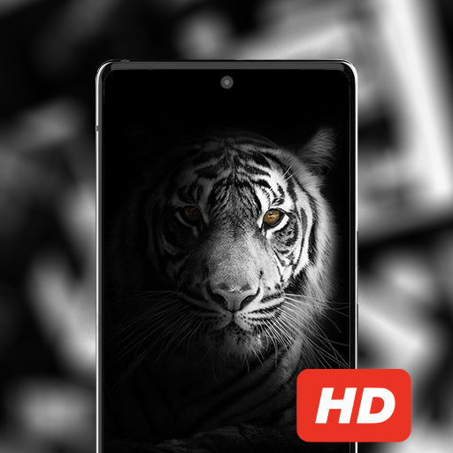 Black and White Wallpapers Download on Windows