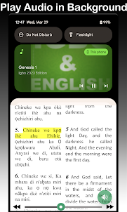Igbo Bible - Igbo & English