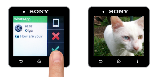 Media Viewer for Informer Pro