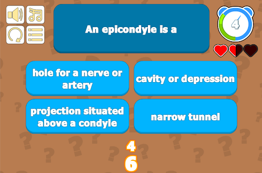 Skeletal System - Anatomy  Physiology Quiz