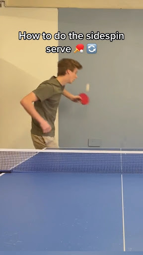 Pingpong Pro Tricks Tutorial Screen 2