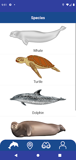 Whale Reporter Screen 3