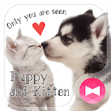 Cute Theme Puppy and Kitten icon