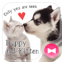 かわいい壁紙アイコン 子犬と子猫 無料 Androidアプリ Applion