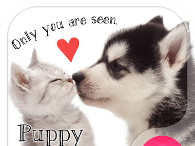 √無料でダウンロード！ 子犬 壁紙 無料 184067