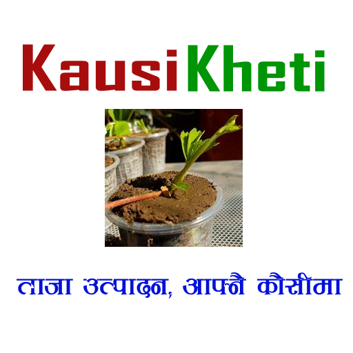Kaushi Kheti logo