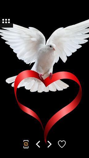 Android application Love Wallpapers in 4K screenshort