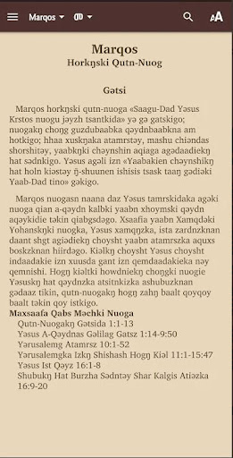 Android application Dizin Bible screenshort