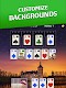 screenshot of Castle Solitaire: Card Game
