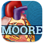 Cover Image of Download USMLE Clinical Anatomy  APK