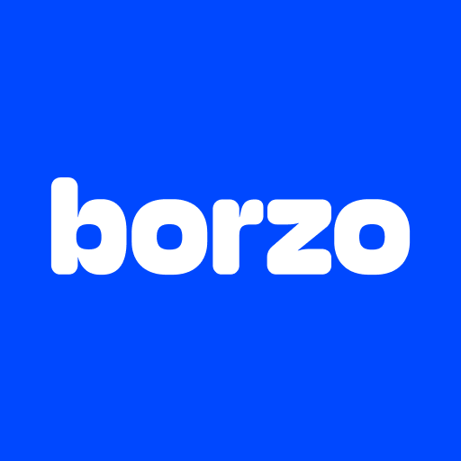 Borzo Delivery Partner Job logo