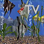 AngelFish Aquarium TV - 3D Live Fish App Apk