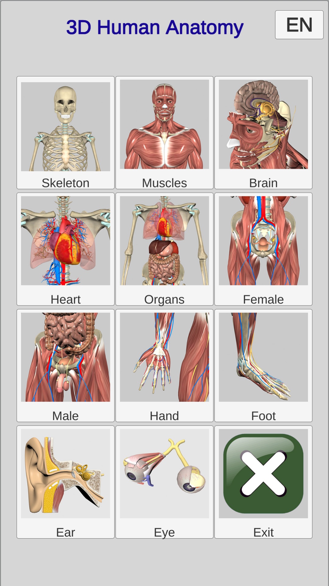 Android application 3D Anatomy screenshort