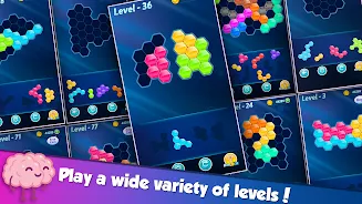 Block! Hexa Puzzle™ screenshot 1