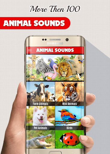 Android application Animal Sounds: With Images screenshort