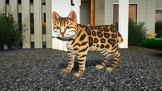 Cute Cat Kitten Simulator Game