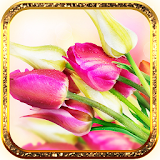 Violet Tulips HD LWP icon