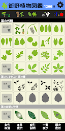 街野植物図鑑　1100種版