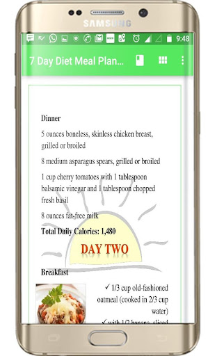 7 Day Diet Meal Plan and Recip