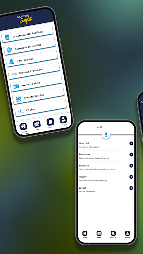 SaluteSimplex screenshot 2