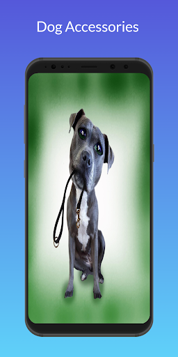 Cute Dog Accessories Screen 2