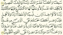 screenshot of القرآن الكريم - برواية قالون