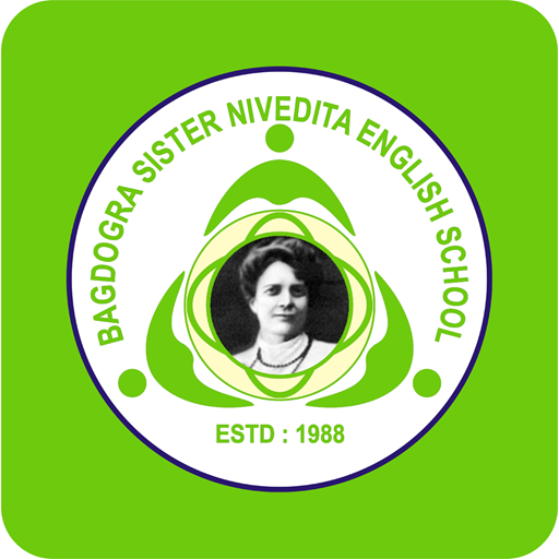 BSNES logo
