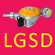 LPG Gas Safety Device
