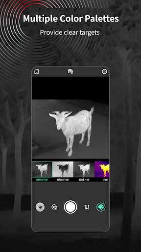TargetIR Screen 3