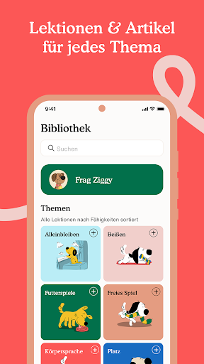 Zigzag: Welpentraining screenshot 8
