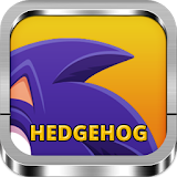 Hedgehog Run Wallpaper icon