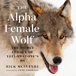 Icon image The Alpha Female Wolf: The Fierce Legacy of Yellowstone's 06