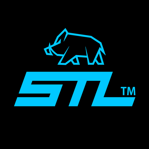 에스티엘 STL logo