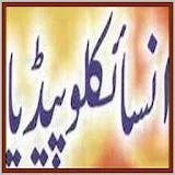 World Encyclopedia Urdu icon