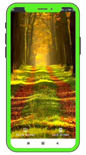 Nature Wallpapers  Backgrounds