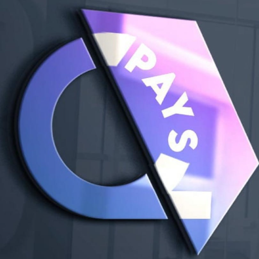 QPays logo