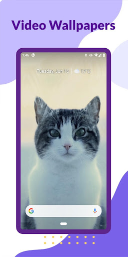 Android application Video Wallpapers screenshort