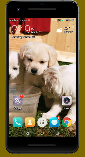 Android application Cute Puppies Video Wallpapers screenshort