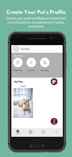 Android application Diane's Dog House & Cat screenshort
