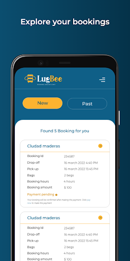 Lugbee Host Screen 2