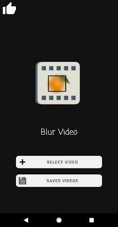 Blur Video, Censor Face/Objectのおすすめ画像2