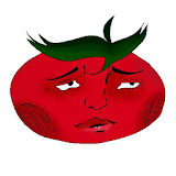 TomatoTimer icon