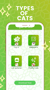 Types of Cats 1 APK + Mod (Free purchase) for Android