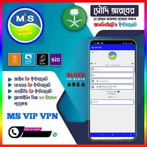MS VIP VPN